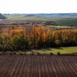 Vertavillo Paisaje